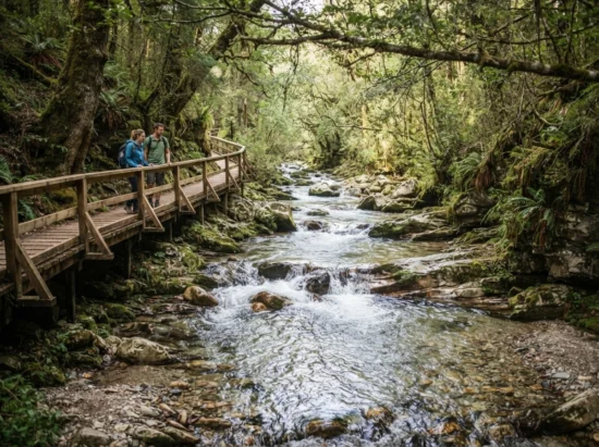 10 Timeless Playlists to Match Your Moods in 2026
